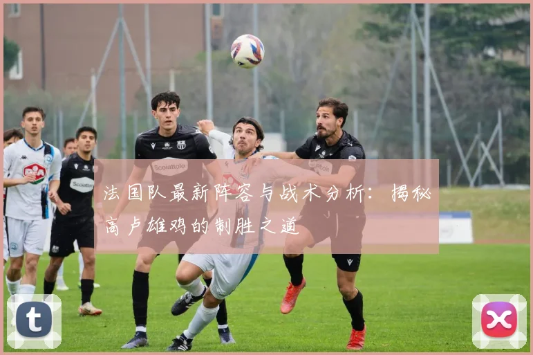 法国队最新阵容与战术分析：揭秘高卢雄鸡的制胜之道