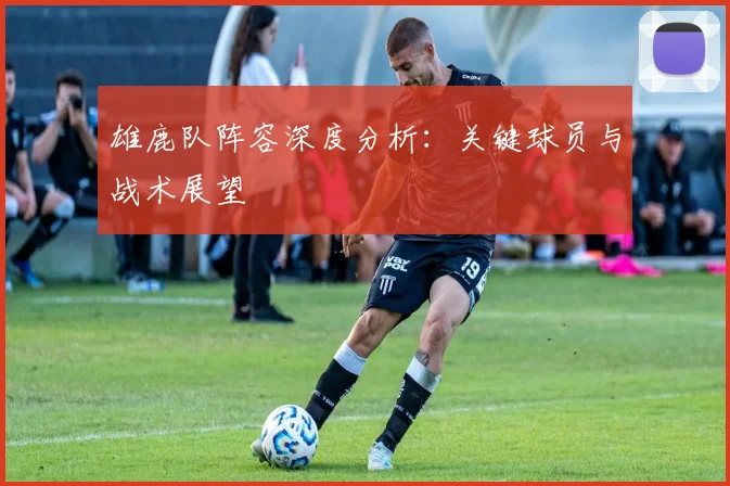雄鹿队阵容深度分析:关键球员与战术展望
