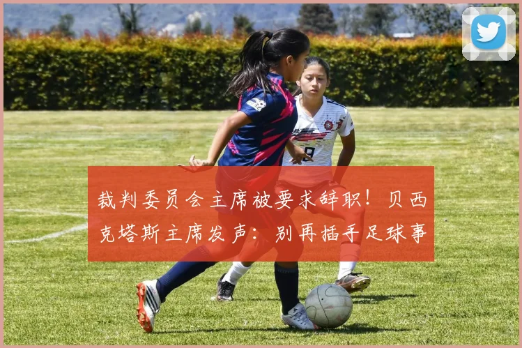 裁判委员会主席被要求辞职!贝西克塔斯主席发声:别再插手足球事务